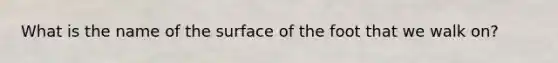 What is the name of the surface of the foot that we walk on?