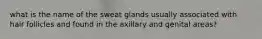 what is the name of the sweat glands usually associated with hair follicles and found in the axillary and genital areas?