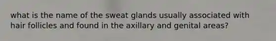 what is the name of the sweat glands usually associated with hair follicles and found in the axillary and genital areas?