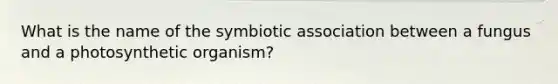 What is the name of the symbiotic association between a fungus and a photosynthetic organism?