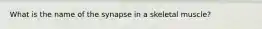 What is the name of the synapse in a skeletal muscle?