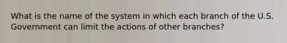 What is the name of the system in which each branch of the U.S. Government can limit the actions of other branches?