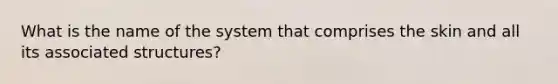 What is the name of the system that comprises the skin and all its associated structures?