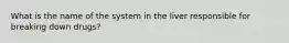 What is the name of the system in the liver responsible for breaking down drugs?