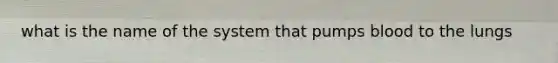 what is the name of the system that pumps blood to the lungs