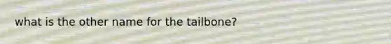 what is the other name for the tailbone?