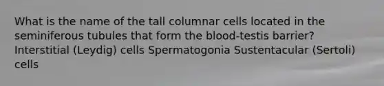 What is the name of the tall columnar cells located in the seminiferous tubules that form the blood-testis barrier? Interstitial (Leydig) cells Spermatogonia Sustentacular (Sertoli) cells