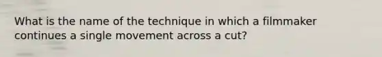 What is the name of the technique in which a filmmaker continues a single movement across a cut?