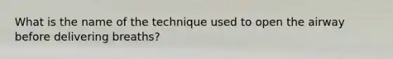 What is the name of the technique used to open the airway before delivering breaths?