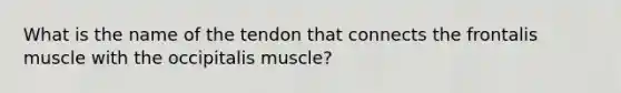 What is the name of the tendon that connects the frontalis muscle with the occipitalis muscle?