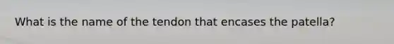 What is the name of the tendon that encases the patella?