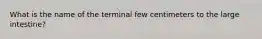 What is the name of the terminal few centimeters to the large intestine?