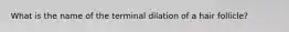 What is the name of the terminal dilation of a hair follicle?