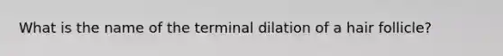 What is the name of the terminal dilation of a hair follicle?