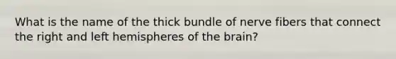 What is the name of the thick bundle of nerve fibers that connect the right and left hemispheres of the brain?