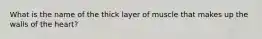 What is the name of the thick layer of muscle that makes up the walls of the heart?