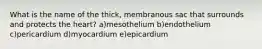 What is the name of the thick, membranous sac that surrounds and protects the heart? a)mesothelium b)endothelium c)pericardium d)myocardium e)epicardium