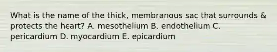 What is the name of the thick, membranous sac that surrounds & protects the heart? A. mesothelium B. endothelium C. pericardium D. myocardium E. epicardium