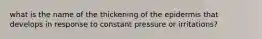 what is the name of the thickening of the epidermis that develops in response to constant pressure or irritations?