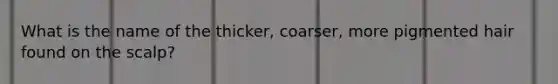 What is the name of the thicker, coarser, more pigmented hair found on the scalp?
