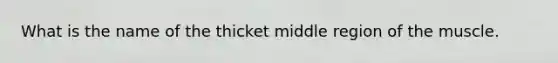 What is the name of the thicket middle region of the muscle.