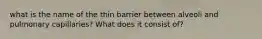 what is the name of the thin barrier between alveoli and pulmonary capillaries? What does it consist of?