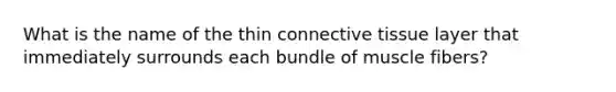 What is the name of the thin connective tissue layer that immediately surrounds each bundle of muscle fibers?