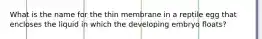 What is the name for the thin membrane in a reptile egg that encloses the liquid in which the developing embryo floats?