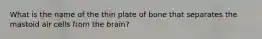 What is the name of the thin plate of bone that separates the mastoid air cells from the brain?