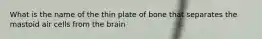 What is the name of the thin plate of bone that separates the mastoid air cells from the brain