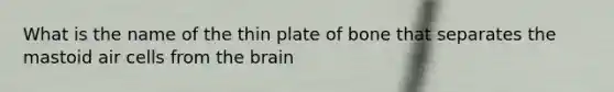 What is the name of the thin plate of bone that separates the mastoid air cells from the brain