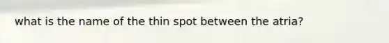 what is the name of the thin spot between the atria?