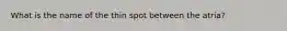 What is the name of the thin spot between the atria?