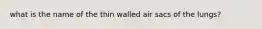 what is the name of the thin walled air sacs of the lungs?