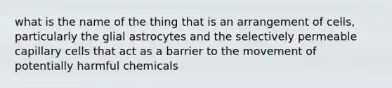 what is the name of the thing that is an arrangement of cells, particularly the glial astrocytes and the selectively permeable capillary cells that act as a barrier to the movement of potentially harmful chemicals