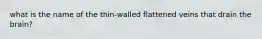 what is the name of the thin-walled flattened veins that drain the brain?