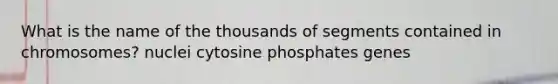 What is the name of the thousands of segments contained in chromosomes? nuclei cytosine phosphates genes