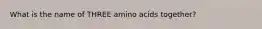 What is the name of THREE amino acids together?