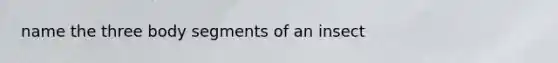 name the three body segments of an insect