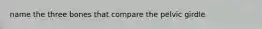 name the three bones that compare the pelvic girdle