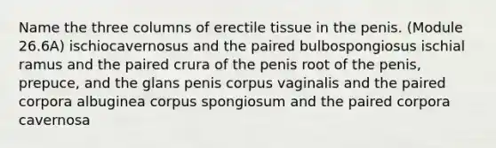 Name the three columns of erectile tissue in the penis. (Module 26.6A) ischiocavernosus and the paired bulbospongiosus ischial ramus and the paired crura of the penis root of the penis, prepuce, and the glans penis corpus vaginalis and the paired corpora albuginea corpus spongiosum and the paired corpora cavernosa