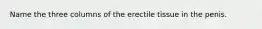 Name the three columns of the erectile tissue in the penis.