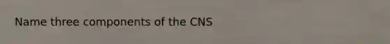 Name three components of the CNS