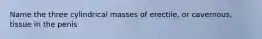 Name the three cylindrical masses of erectile, or cavernous, tissue in the penis