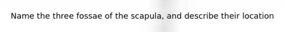 Name the three fossae of the scapula, and describe their location