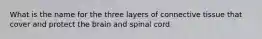 What is the name for the three layers of connective tissue that cover and protect the brain and spinal cord