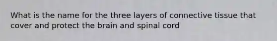 What is the name for the three layers of connective tissue that cover and protect the brain and spinal cord