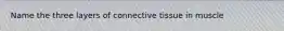 Name the three layers of connective tissue in muscle