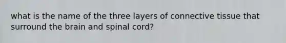 what is the name of the three layers of connective tissue that surround the brain and spinal cord?