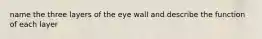 name the three layers of the eye wall and describe the function of each layer